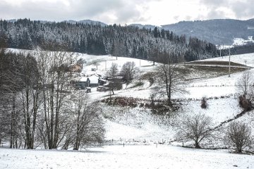 Schwand, Jan 25